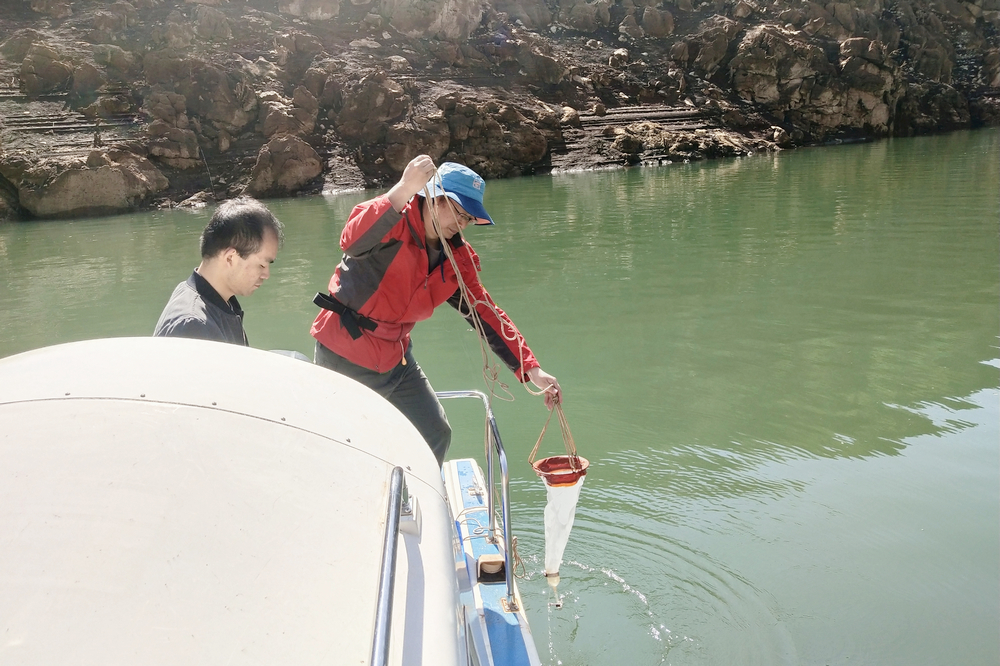 1620790154813774.jpg 2.jpg